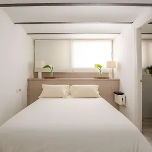 Typ * Seville