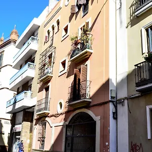 Alohamundi Campana Seville