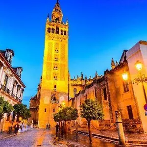 En Santa Cruz Catedral Giralda Nuevo 2025 * Seville